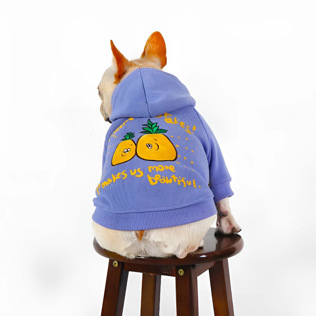 Blue and purple cartoon printed cotton pet hoodie for winter wear