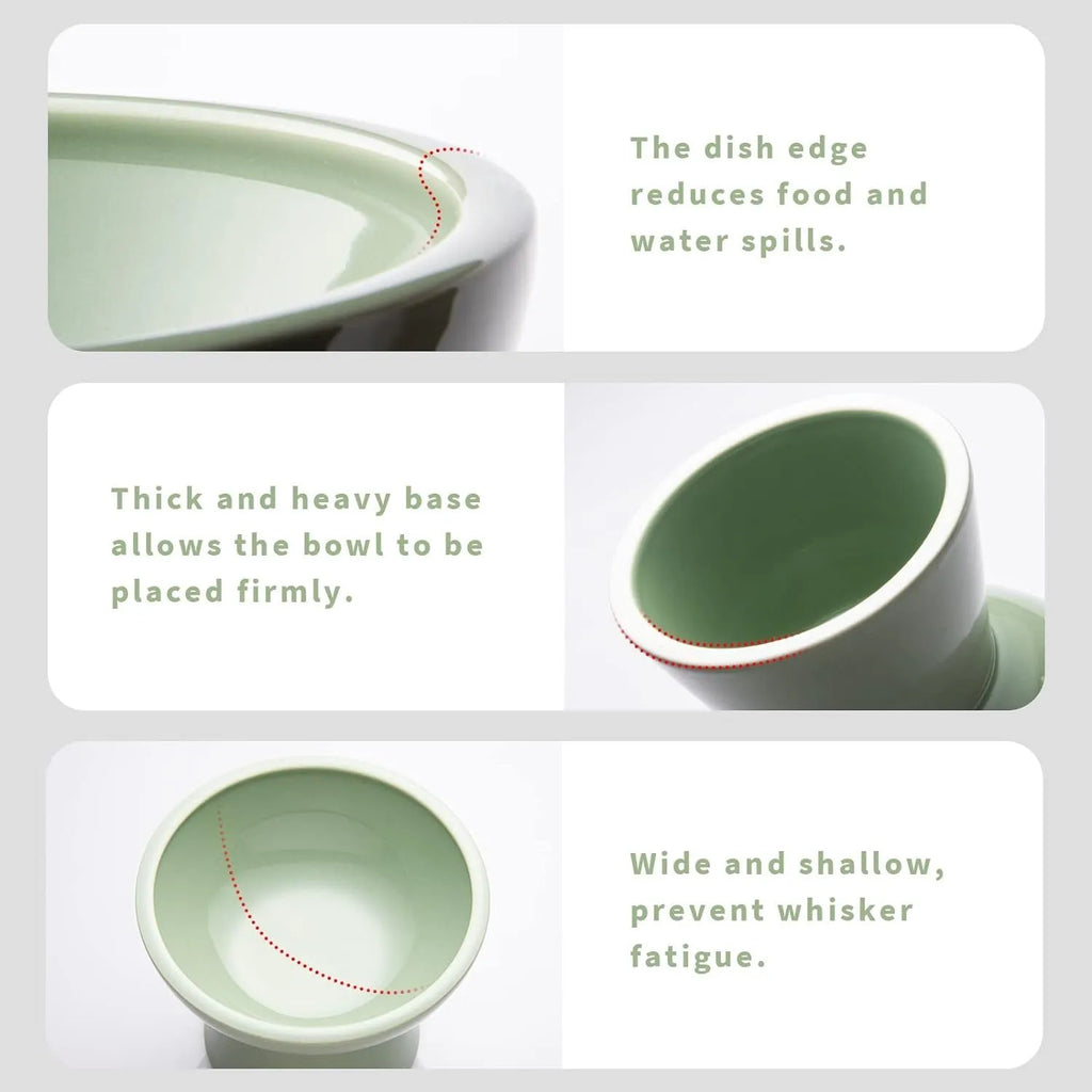 Blue ceramic elevated cat bowl with wide shallow design for comfortable feeding