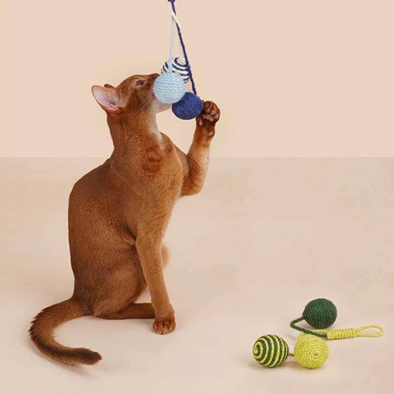 Cat teaser toy stick set with bite-resistant catnip ball measuring 255mm with blue, green, red yellow blue colour options