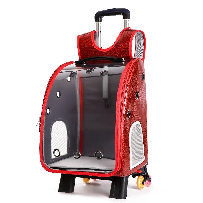 Blue transparent pet trolley with folding cover next to its detachable Oxford cloth shoulder bag.