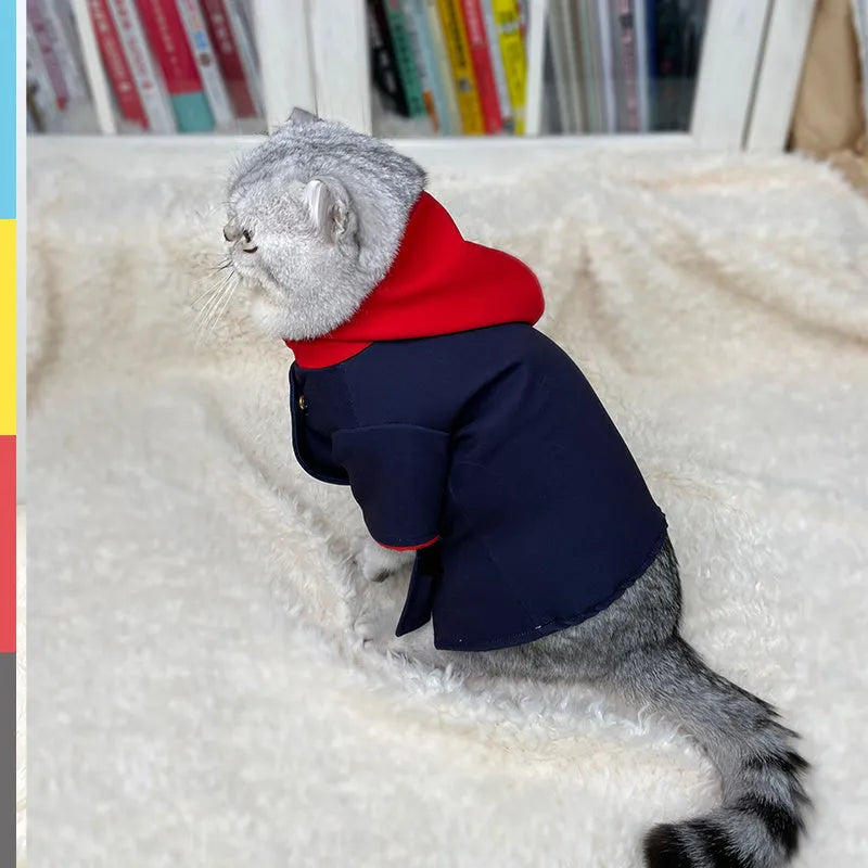 Small or medium sized hoodie for a cat or dog used as a photo prop.
