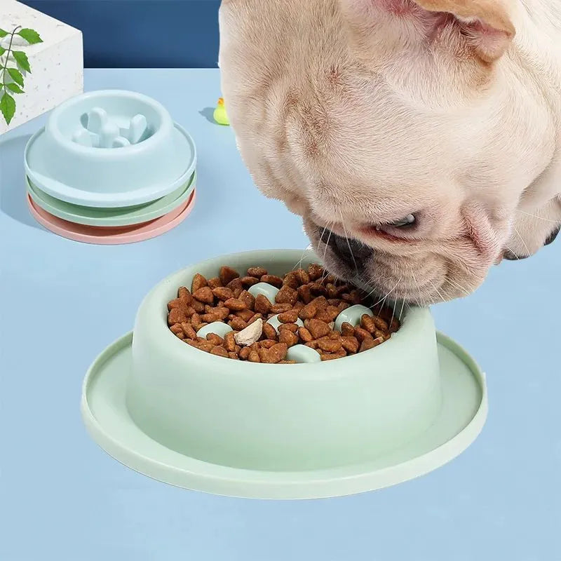 Round pet slow food bowl in blue with raised internal ridges, non-slip base, 17cm diameter