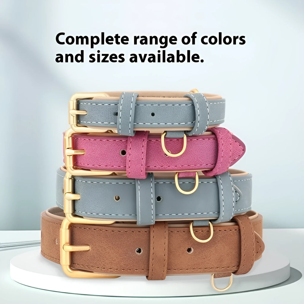 A rose red double-layer leather dog collar and matching traction rope laid flat.