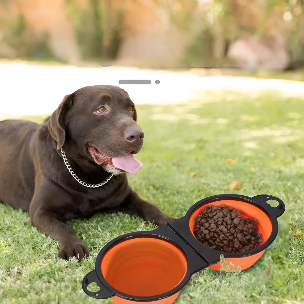 Blue silicone folding double pet bowl showing food and water compartments, folded flat beside it.