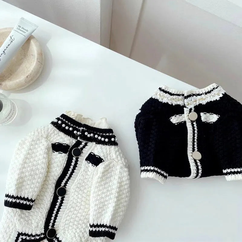 White Korean style dog sweater with pearl detail collar on a small dog, showing princess style pet clothing.