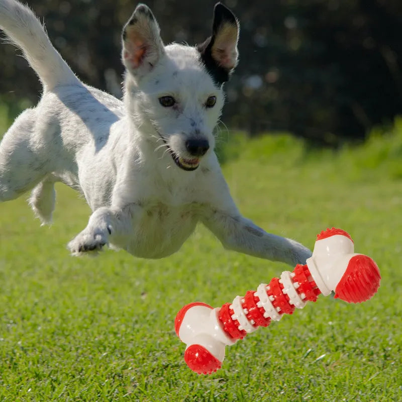 Blue bone-shaped interactive dog toy for small breeds with treat holder
