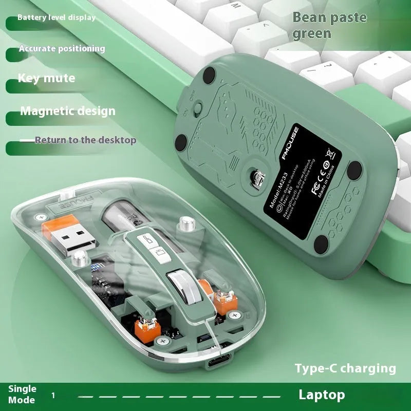 Transparent wireless computer mouse with USB connection showing internal components through plastic housing