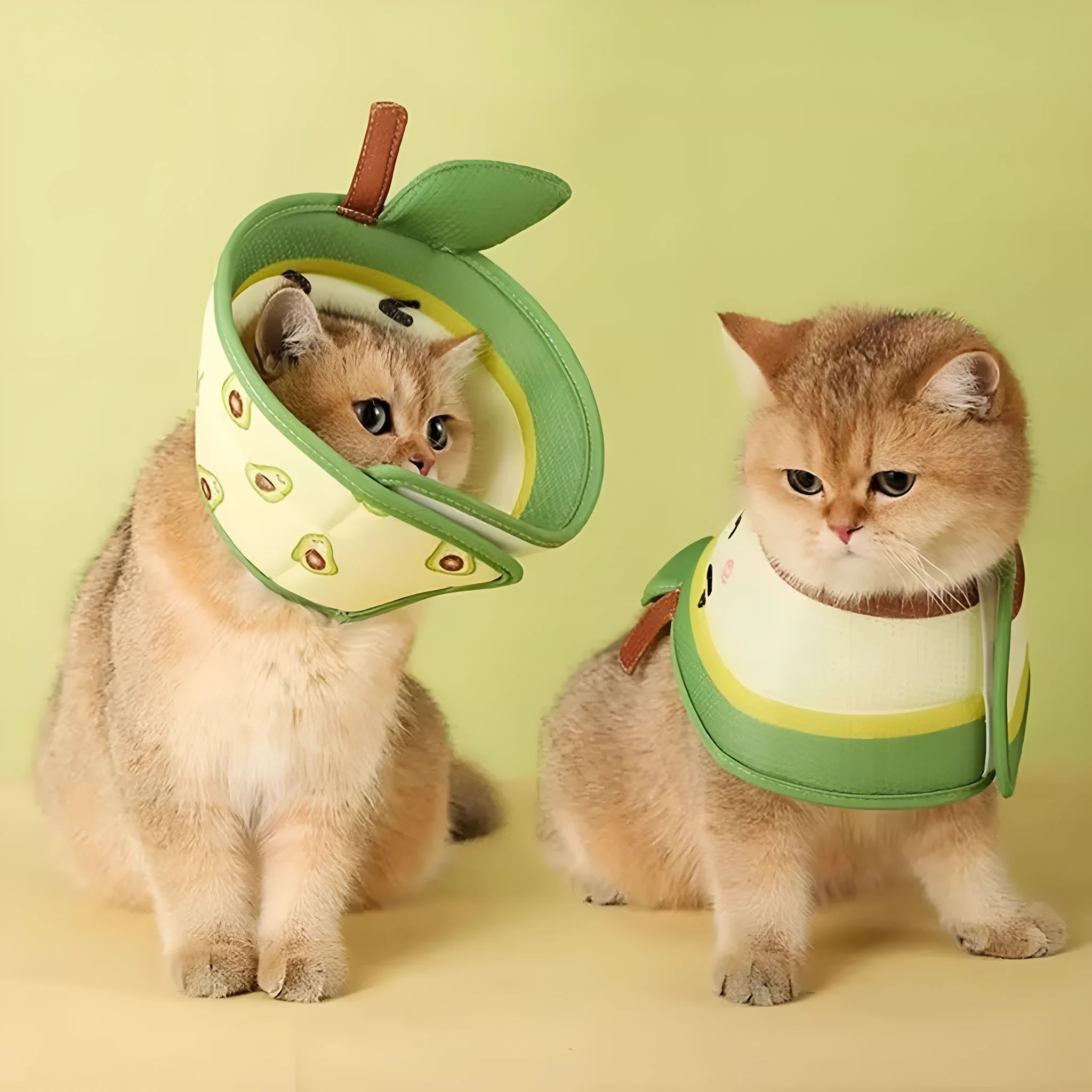 Soft grey EPE cat cone collar with adjustable white strap, shown on a cat.
