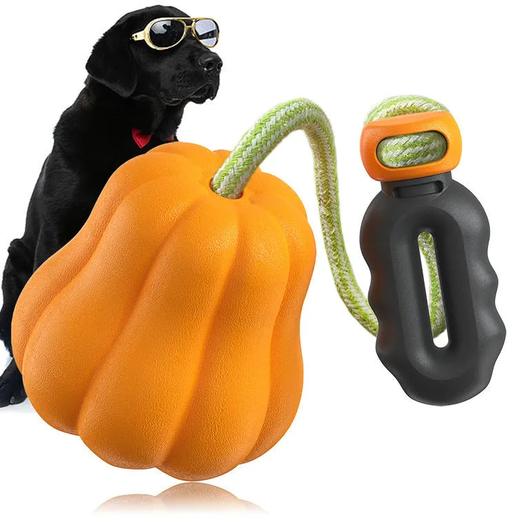 Orange pumpkin-shaped plastic dog ball with a blue rope handle for fetch and tug
