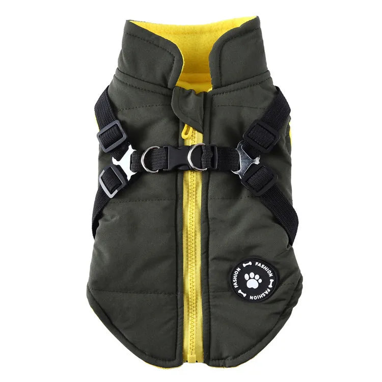 Dog wearing chest strap jacket with cotton padding in blue colour