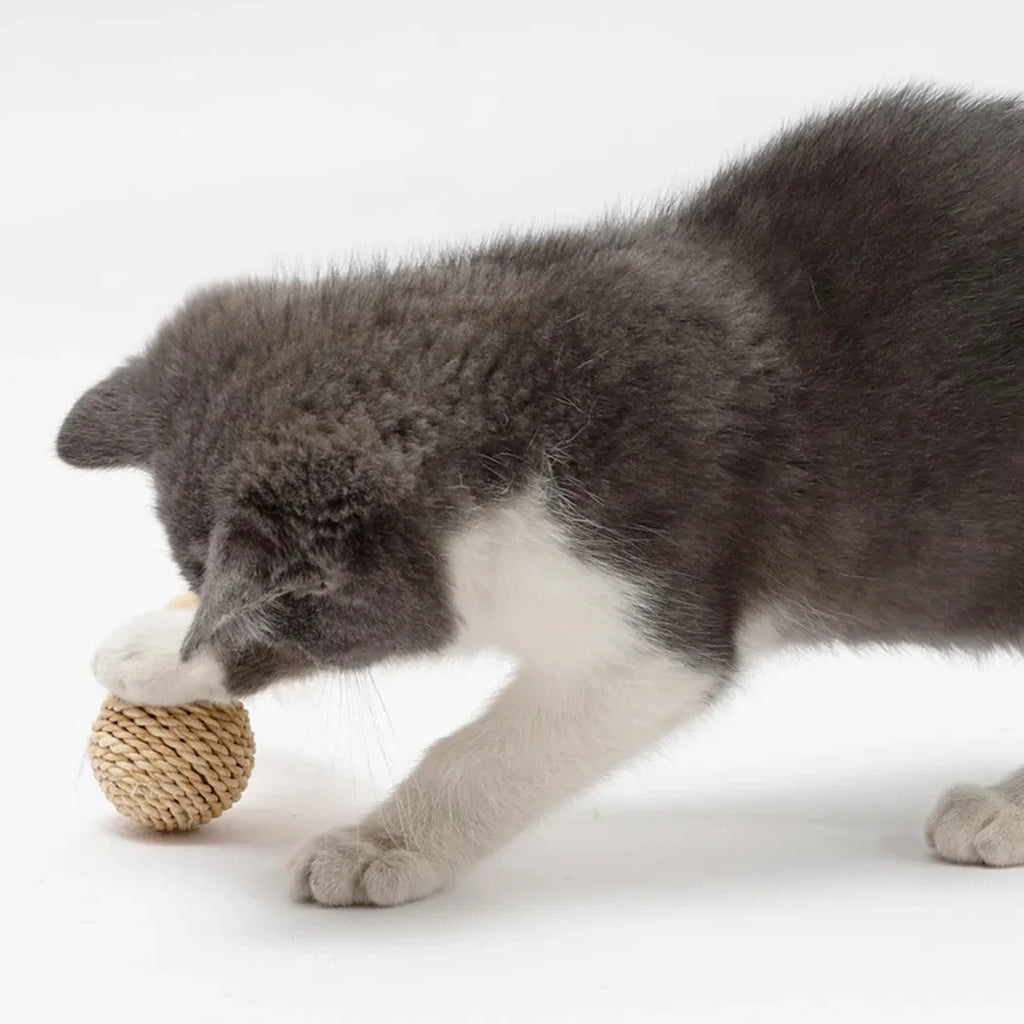 Two cat toys: a brown woven rattan ball and a multicoloured faux feather ball with a bell on a white background.