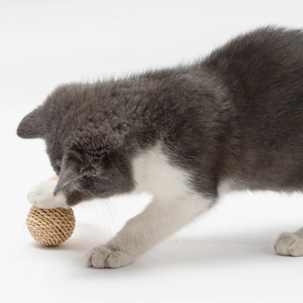 Two cat toys: a brown woven rattan ball and a multicoloured faux feather ball with a bell on a white background.