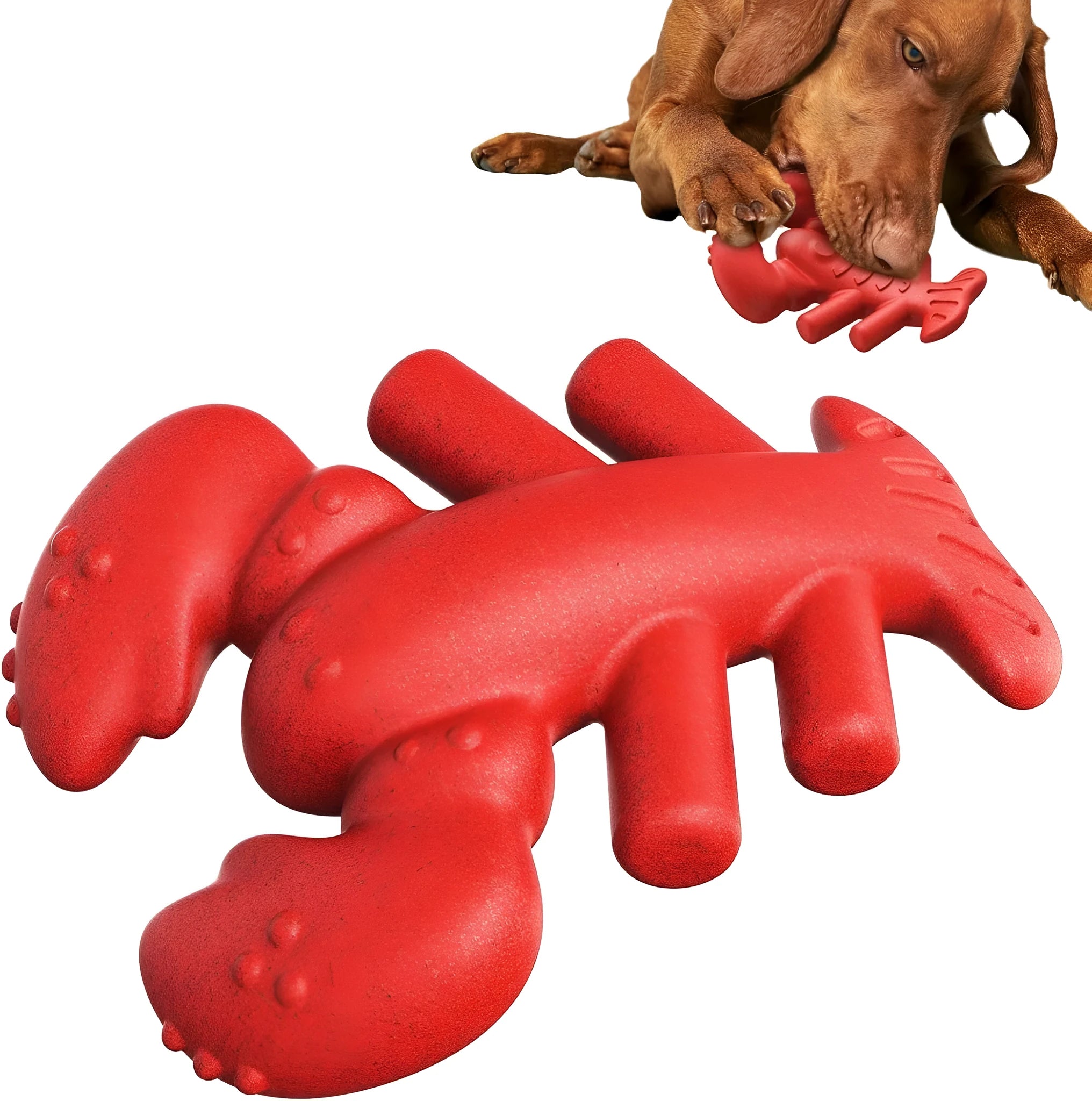 Red heavy-duty nylon chew bone toy for large breed dogs on a plain background