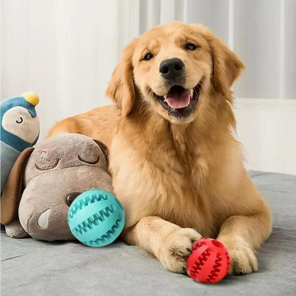 Interactive dog treat ball with hemp rope in blue for small dogs chewing and playing tug of war