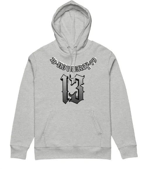 Hooded fleece-lined pullover sweater in loose fit available in multiple colours