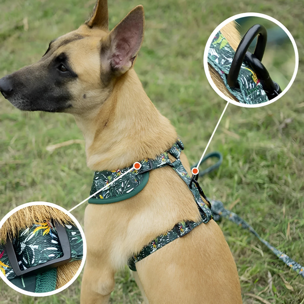 Six-piece adjustable pet harness set with vest, leash, collar, waste bag holder, bow tie, and triangular bib