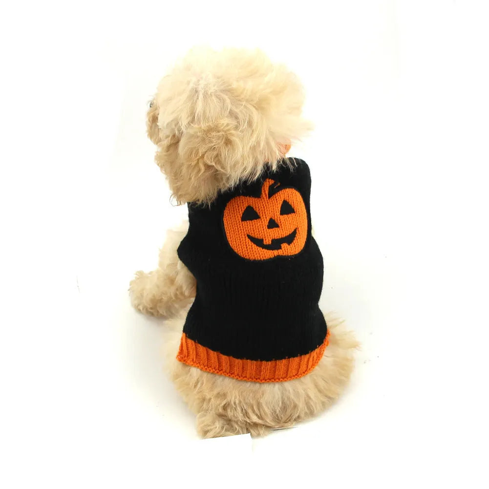 Dog wearing a knitted pumpkin sweater in orange black pumpkin colour, standing on a wooden floor