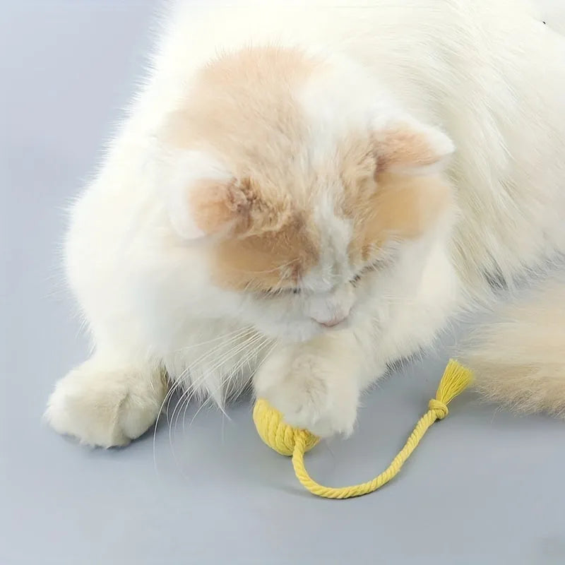 Colourful cat toy ball with an attached rope and built-in bell for kittens, shown in green, pink, purple, and yellow.