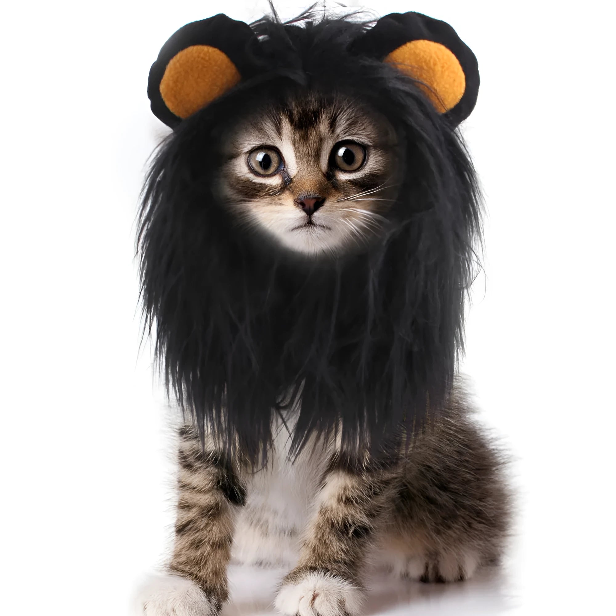 Black lion mane pet cat headgear wig hat shown on a cat, with white colour option available.