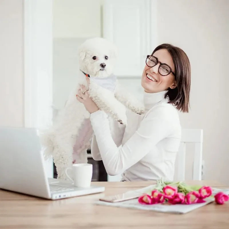 White adjustable polyester dog scarf designed for thermal transfer customisation with four size options