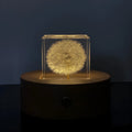 5cm clear resin cube with preserved dandelion flower inside, wooden box and USB charging base