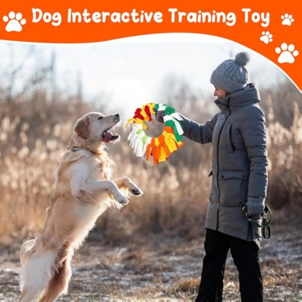 Rainbow polar fleece interactive sniffle dog flying disc with 40cm outer diameter and 16cm inner opening