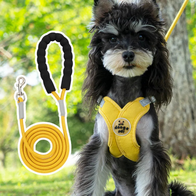 Polyester dog harness and rope lead set in blue, shown on a model dog.