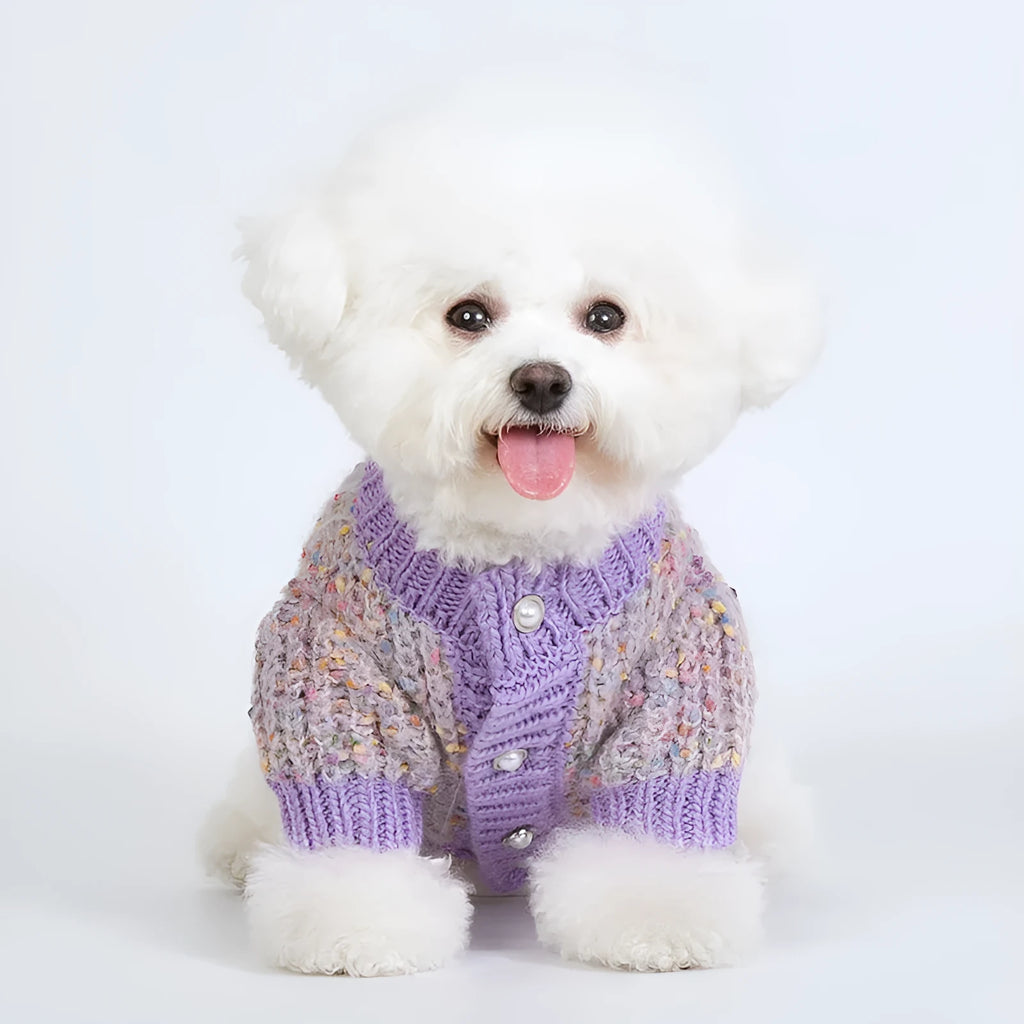 Purple dog sweater cardigan on small dog showing soft polyester fabric and front closure