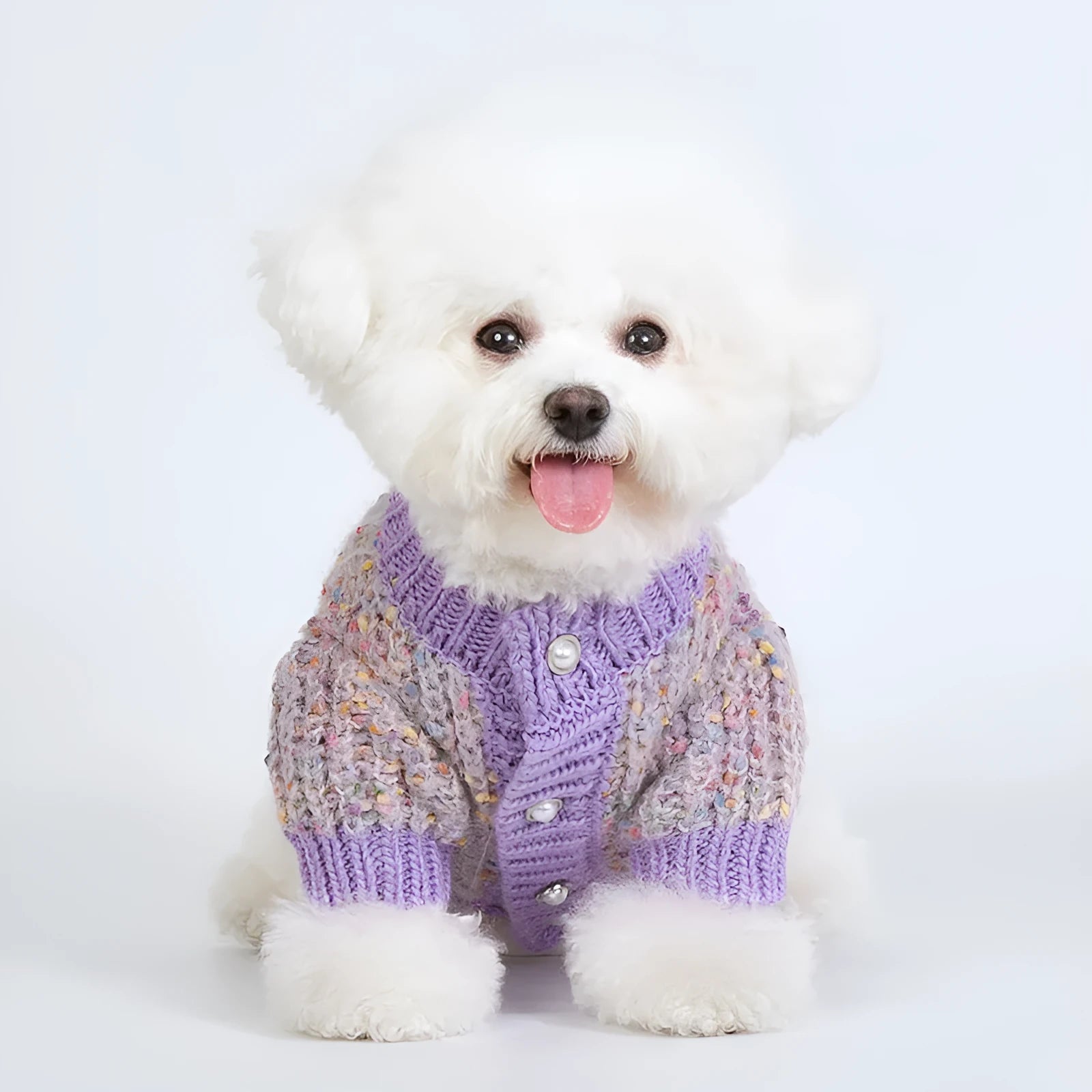 Purple dog sweater cardigan on small dog showing soft polyester fabric and front closure