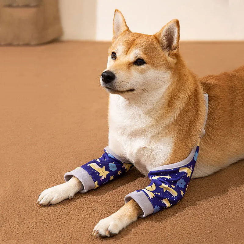 Adjustable dog knee protector pad with elbow support and matching scarf in blue, grey or yellow