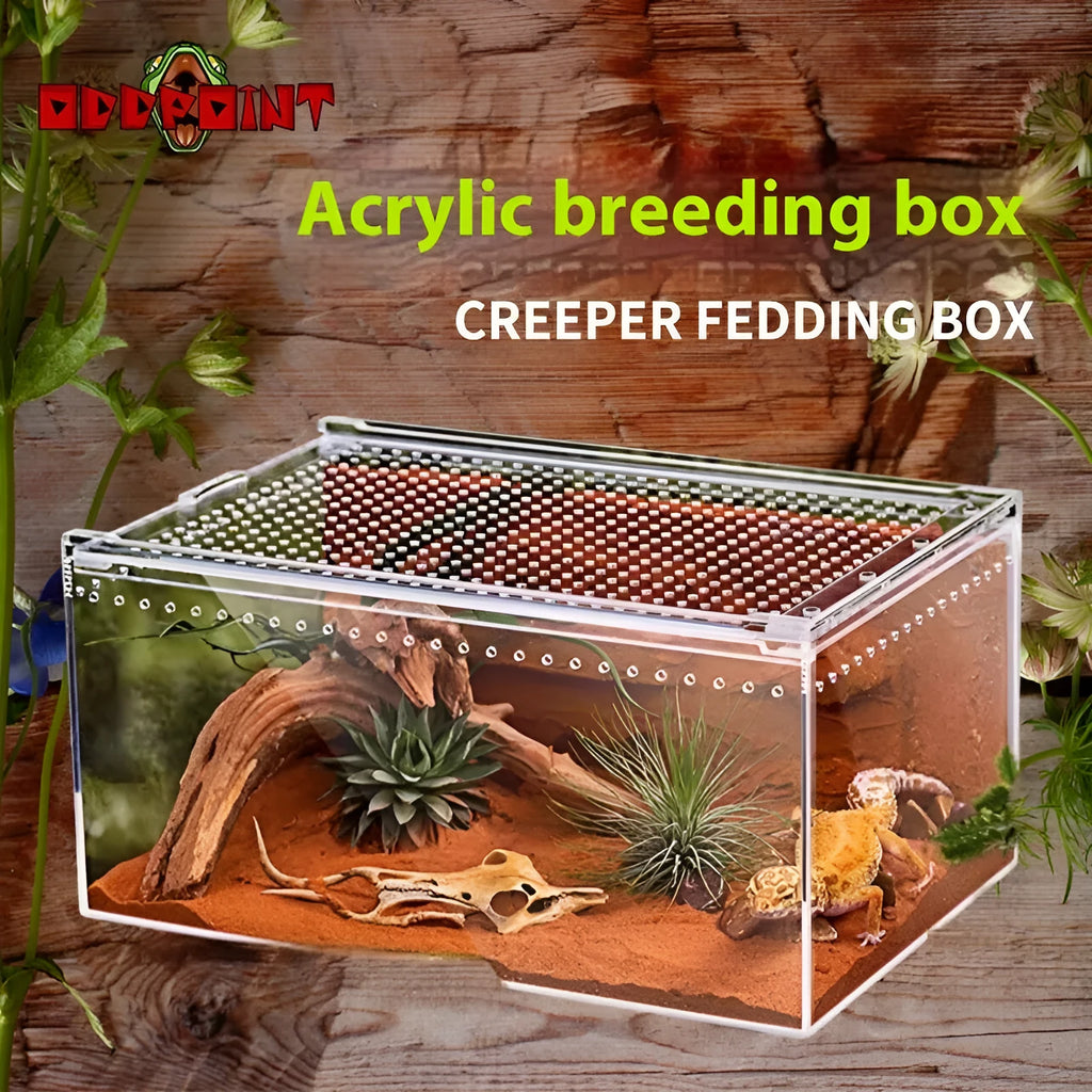 Clear acrylic reptile feeding box with crawl-through opening showing size options