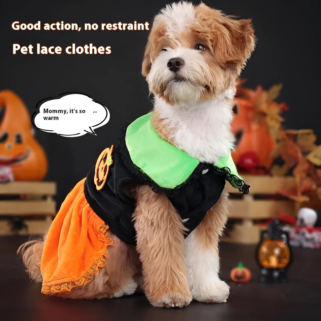 Halloween pumpkin skirt and sweater pet costumes in crystal velvet for small dogs and cats