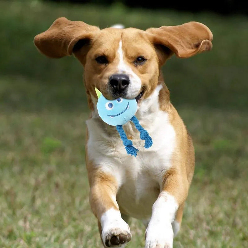 Blue and yellow cartoon animal dog squeaky toys with rope knot construction