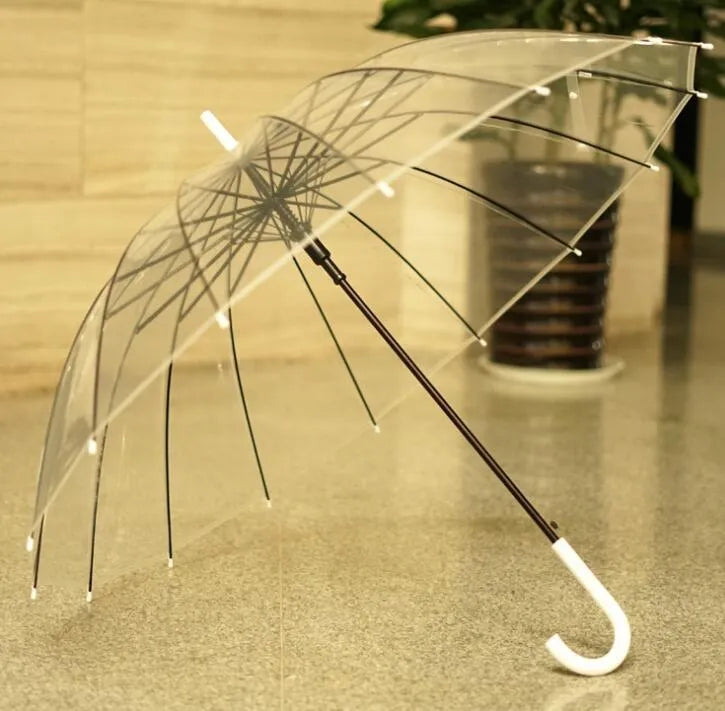 Transparent long handle umbrella showing 16-rib structure and black steel skeleton