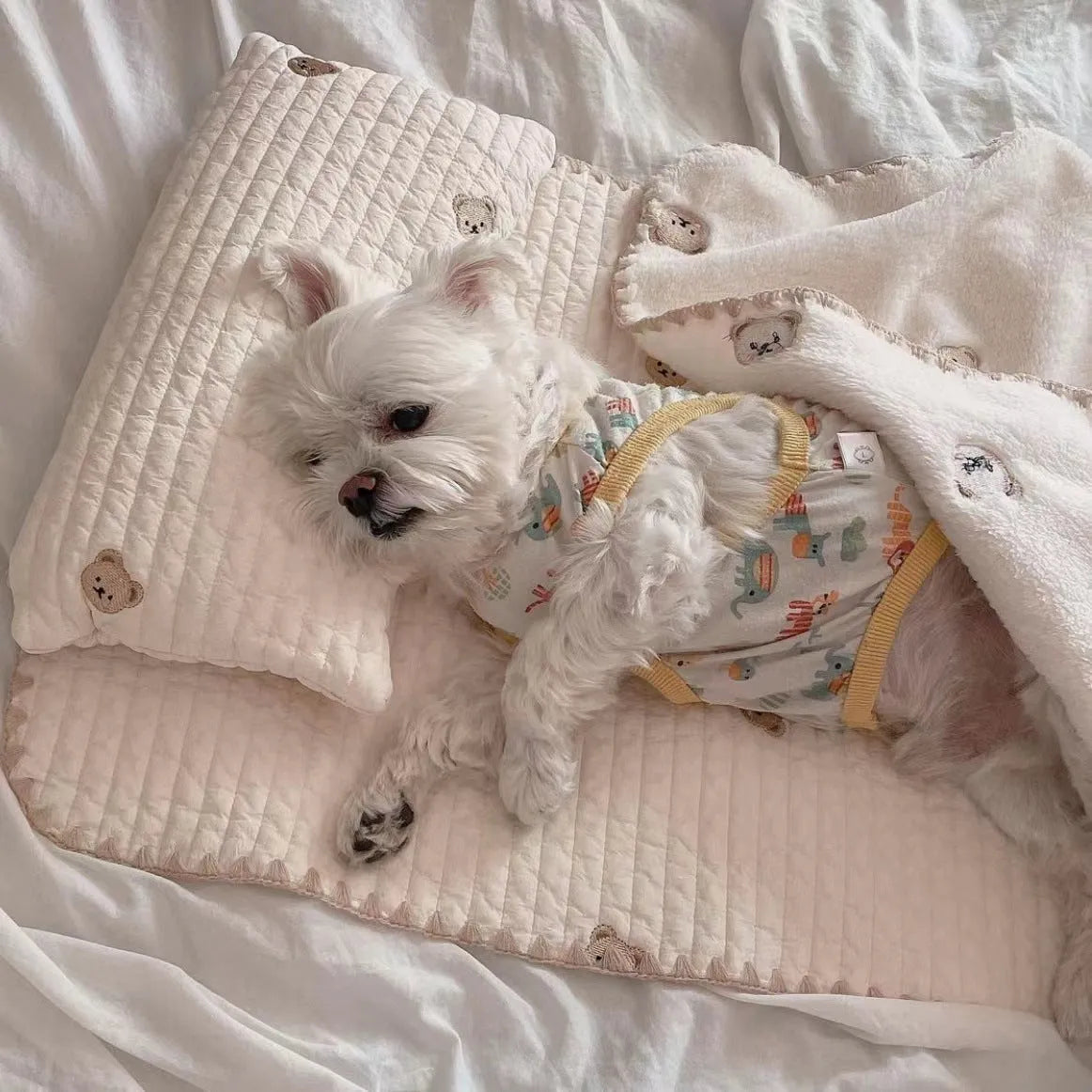 Simple Bear design three-piece dog bed set with pillow, mattress, and quilt in two size options.