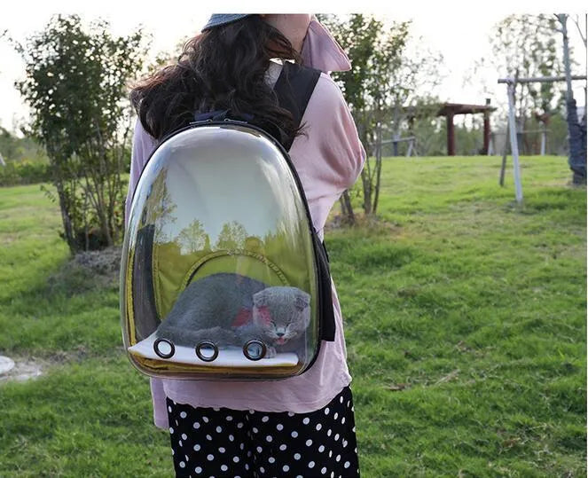 Transparent plastic pet backpack in solid colour with pet inside, available in yellow red green blue and more shades