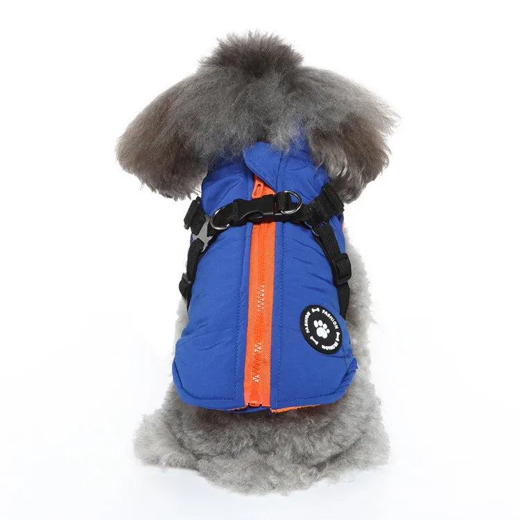 Dog wearing chest strap jacket with cotton padding in blue colour