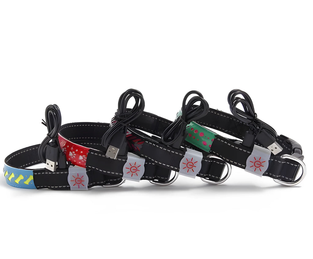 LED light pet collar USB rechargeable adjustable 40-60cm length 2.5cm width for dogs cats