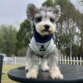 Blue and grey white pet hoodie with reflective letters for cats and dogs in slim-fitting casual style