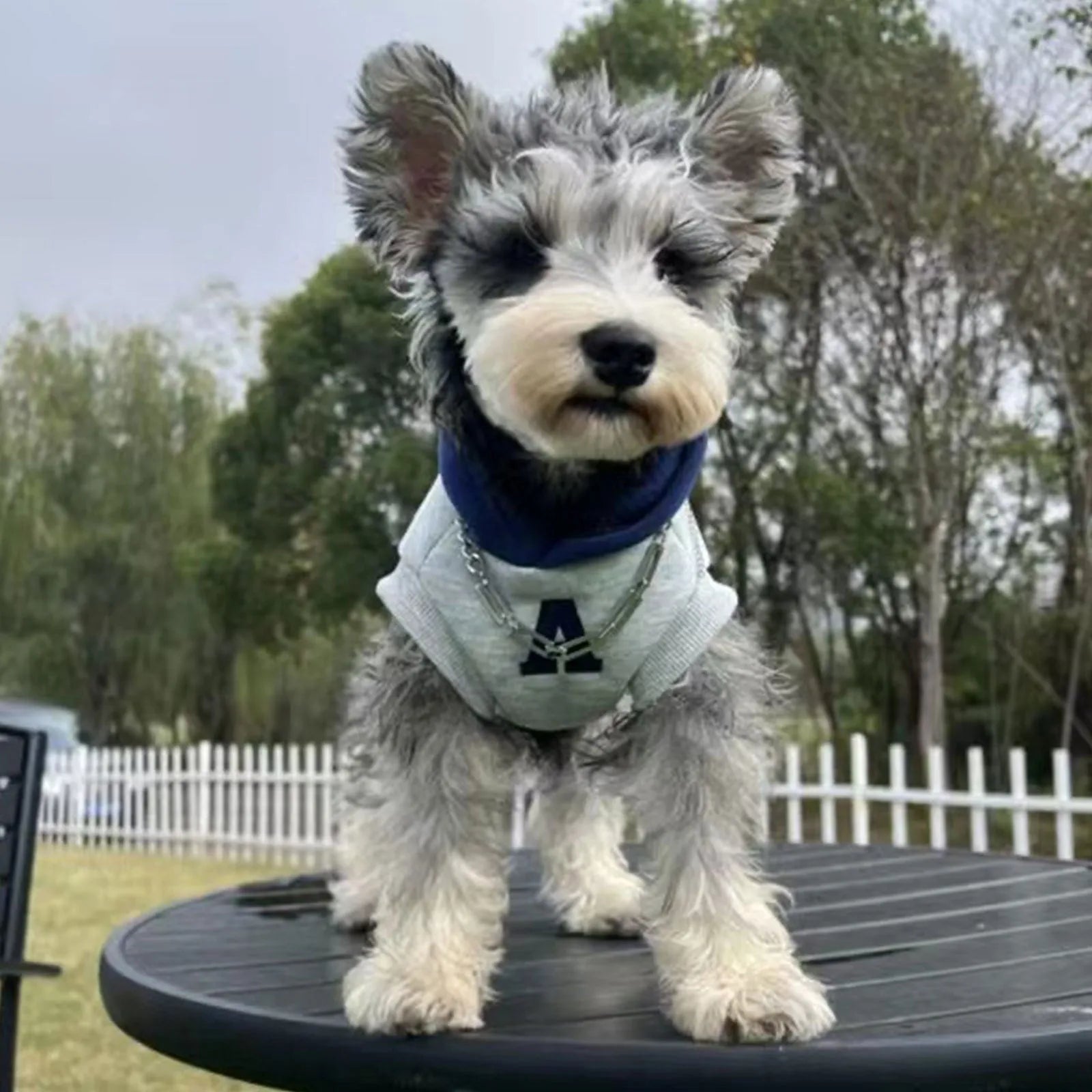 Blue and grey white pet hoodie with reflective letters for cats and dogs in slim-fitting casual style