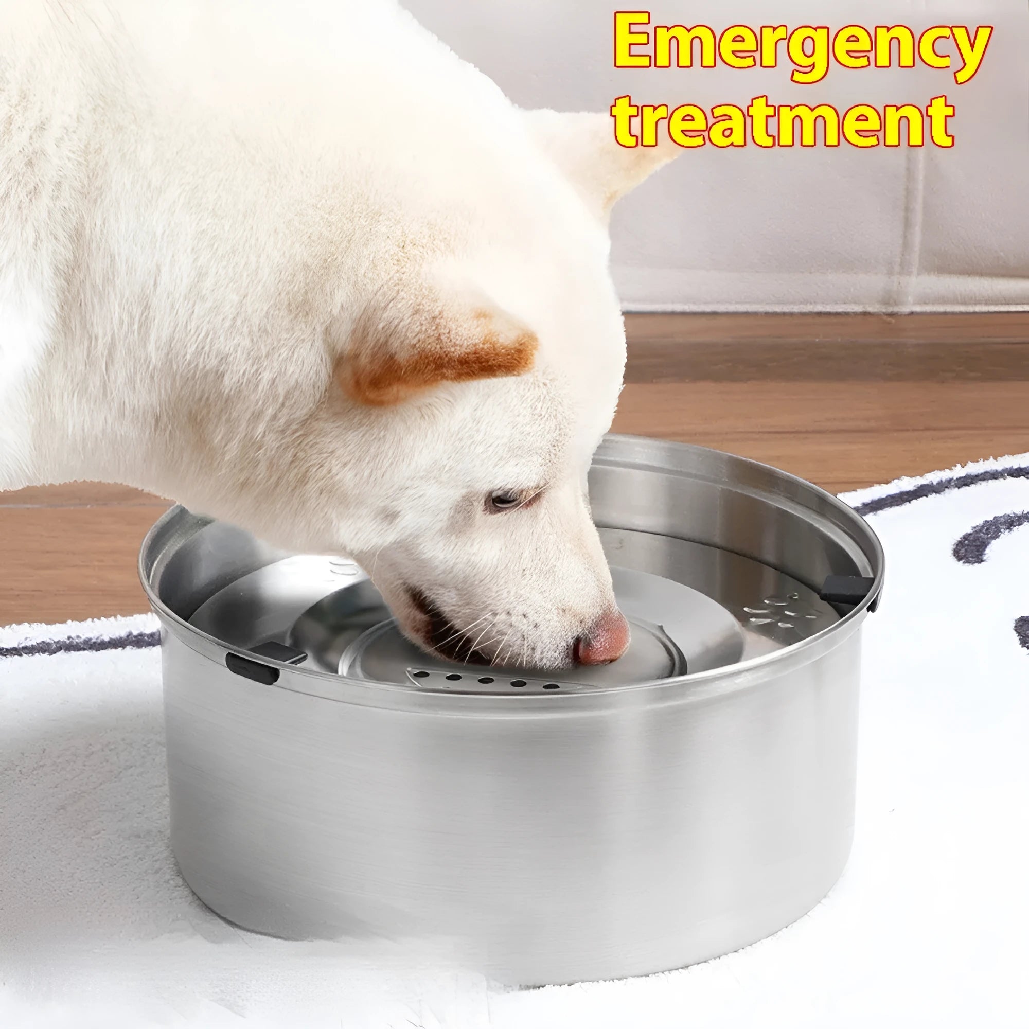 Silver stainless steel large capacity pet drinking water bowl for dogs and cats, 1L size shown