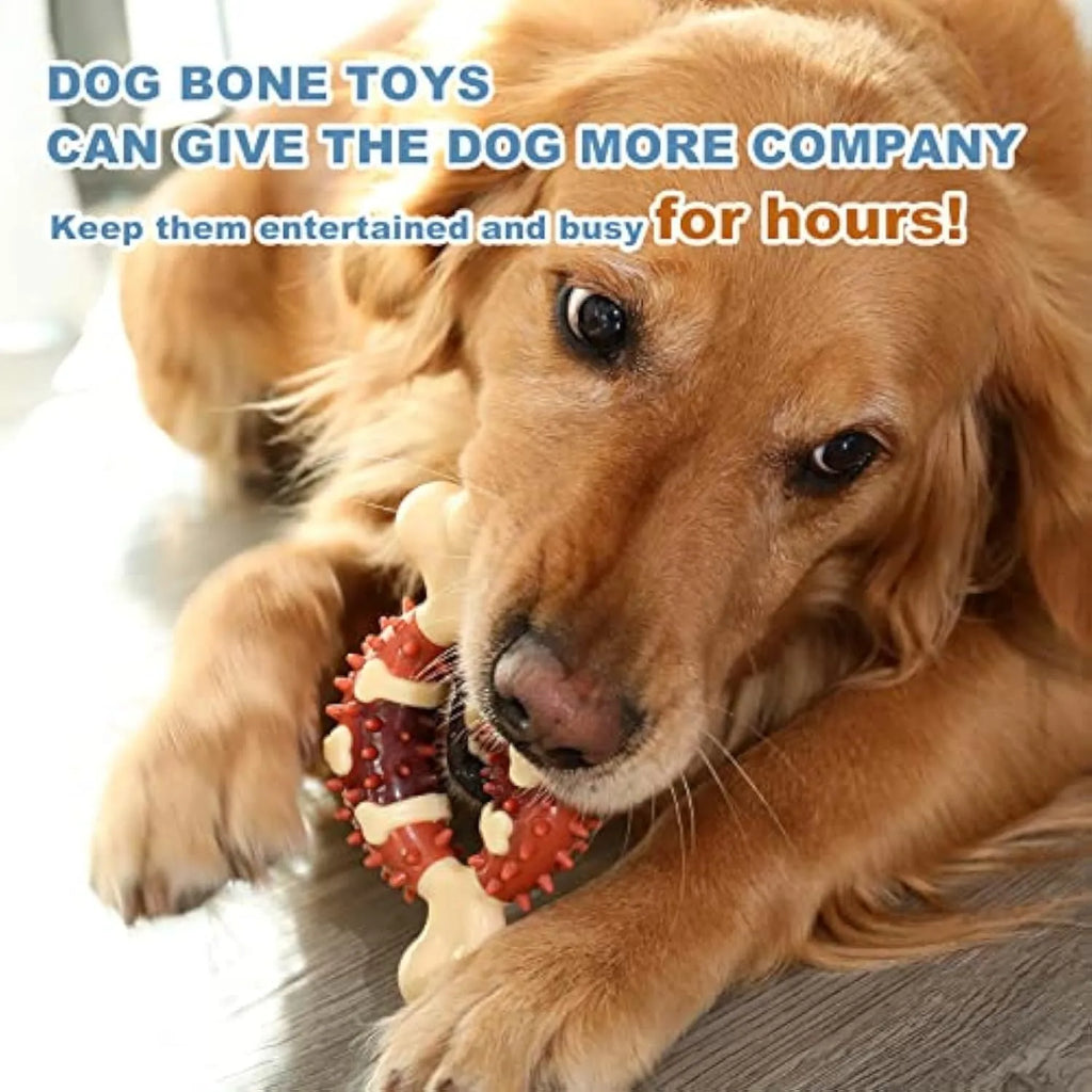 Bone-shaped natural rubber dog molar chew toy shown in two different sizes for teeth grinding.