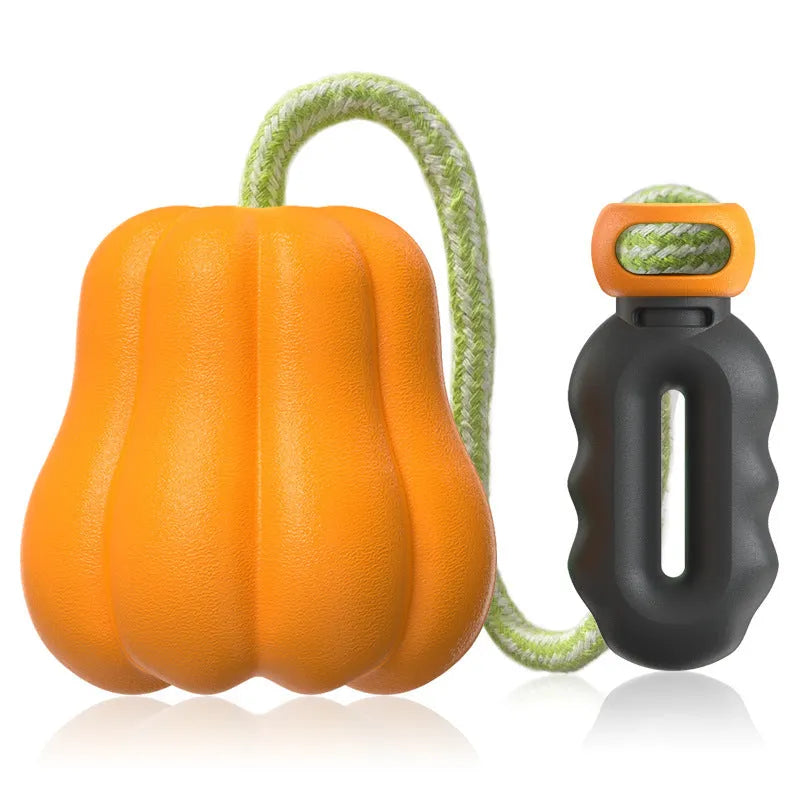 Orange pumpkin-shaped plastic dog ball with a blue rope handle for fetch and tug