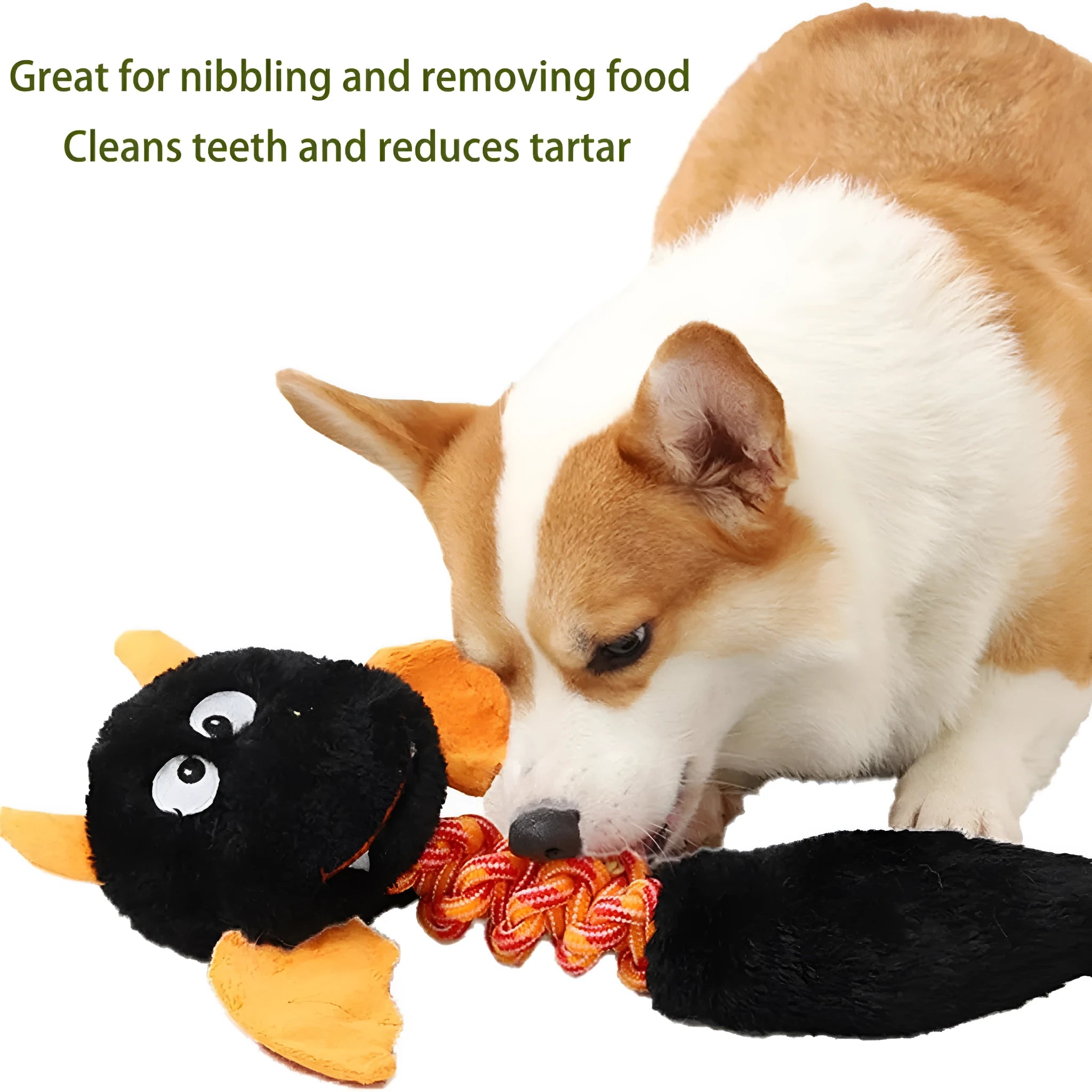 Soft plush dog toy with cartoon design, shown in green, red, or black colour.