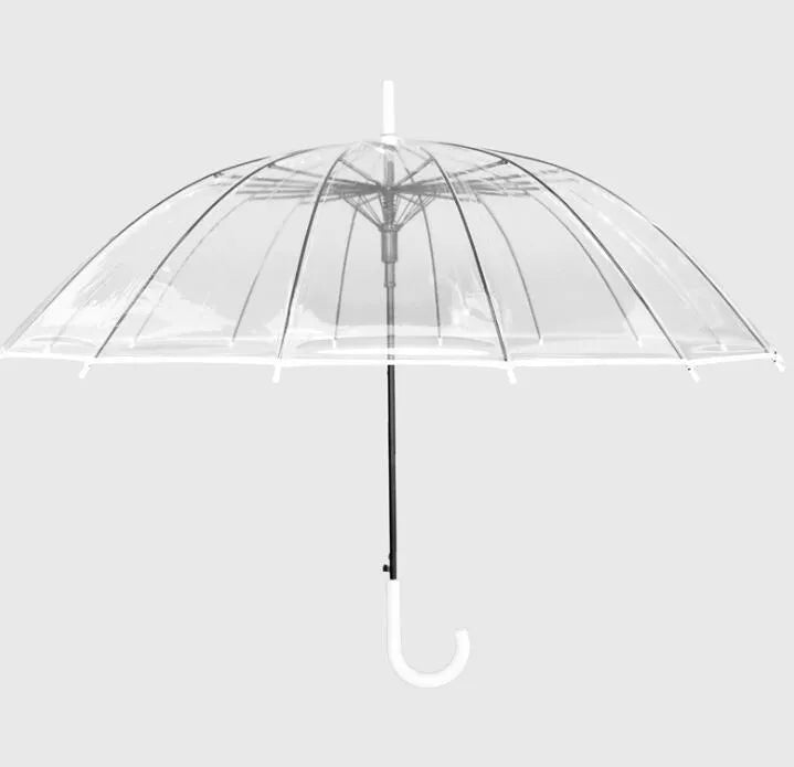 Transparent long handle umbrella showing 16-rib structure and black steel skeleton