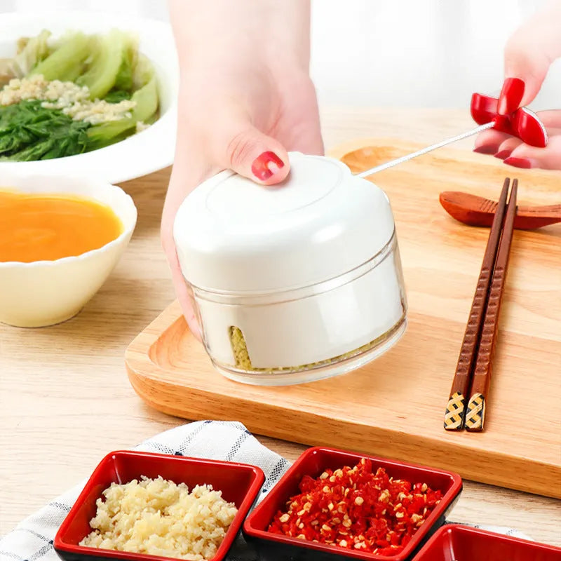Compact manual food chopper with plastic housing and stainless steel blades for vegetable preparation