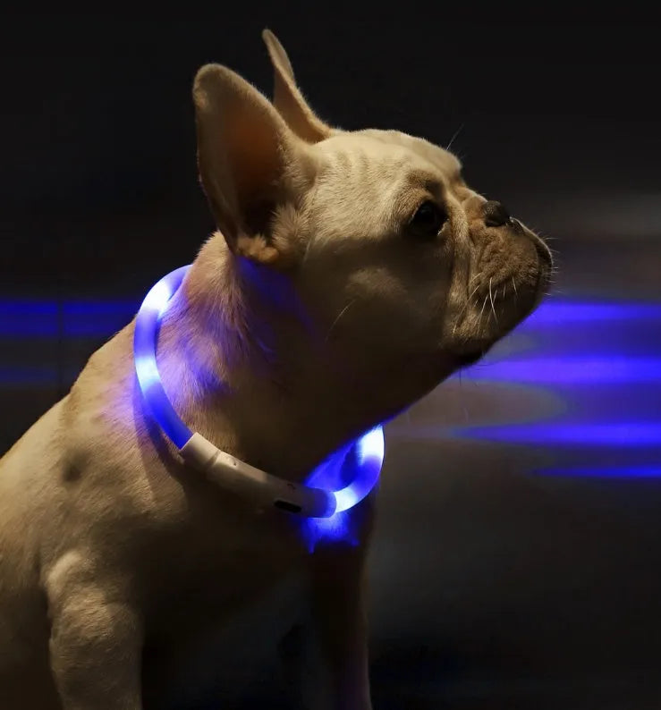 Blue LED pet light collar with cuttable silicone strip and USB charging cable, 50cm length
