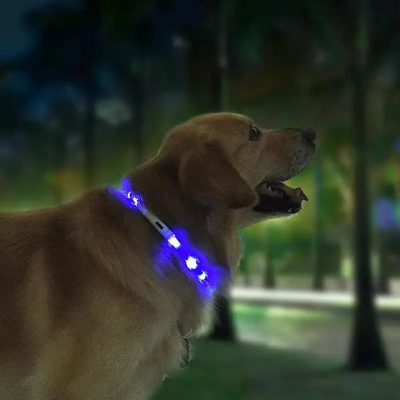 Blue LED pet light collar with cuttable silicone strip and USB charging cable, 50cm length