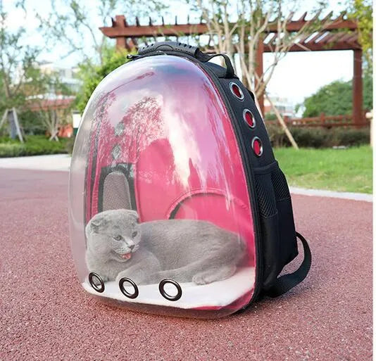 Transparent plastic pet backpack in solid colour with pet inside, available in yellow red green blue and more shades
