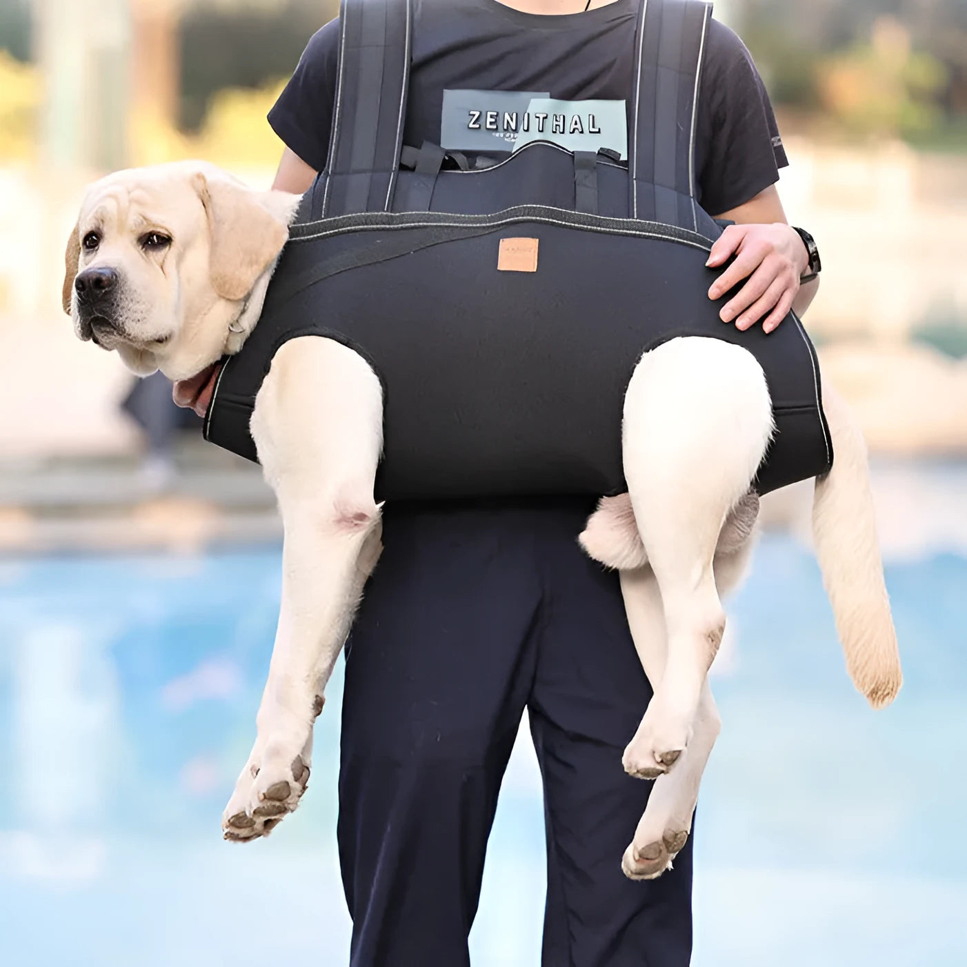 Black Oxford cloth dog backpack for medium and large breeds in three sizes